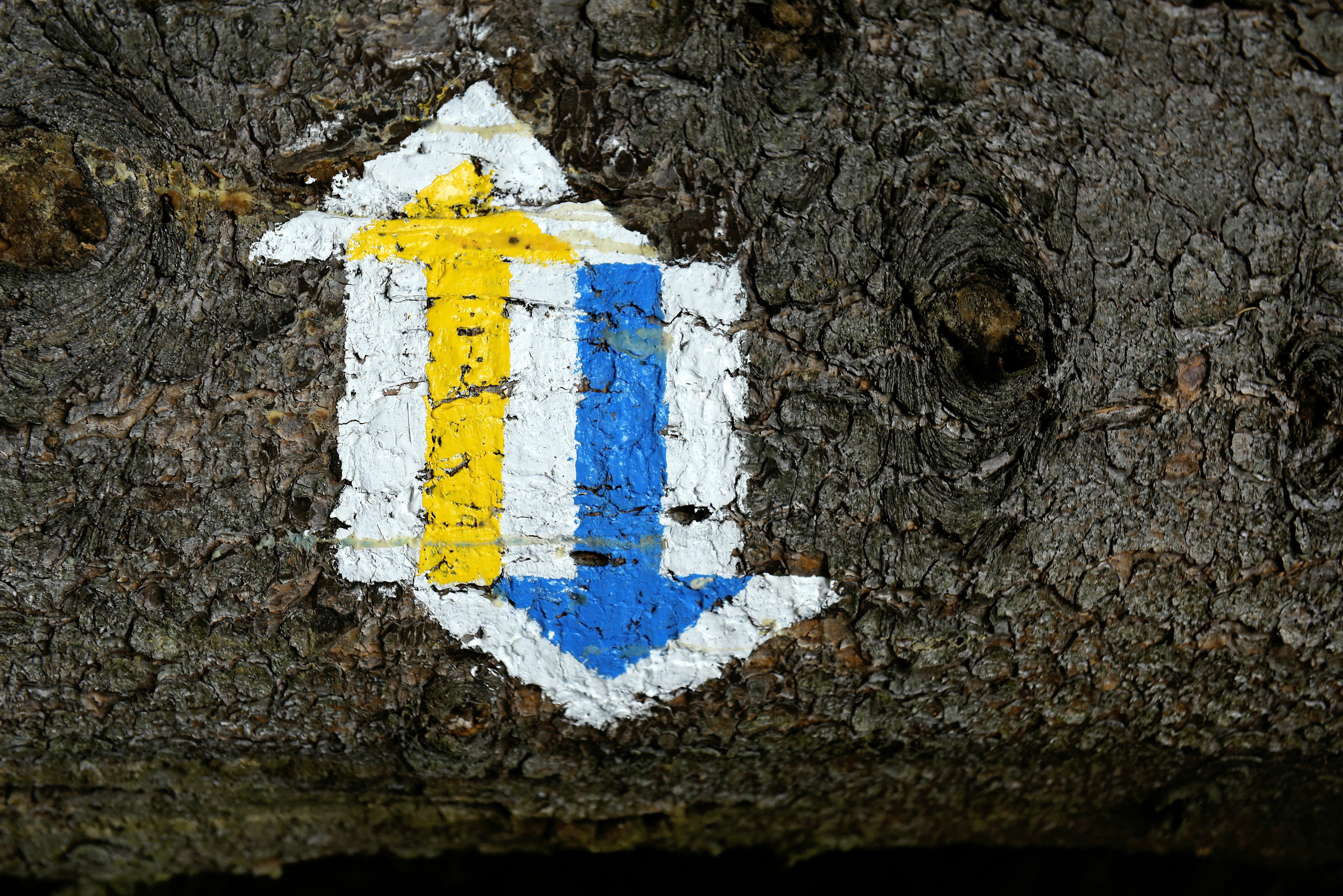 Bachelor thema bwl handel englisch artikel schreiben schule